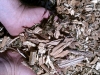Wood Chips - not intended for landscape or playground use